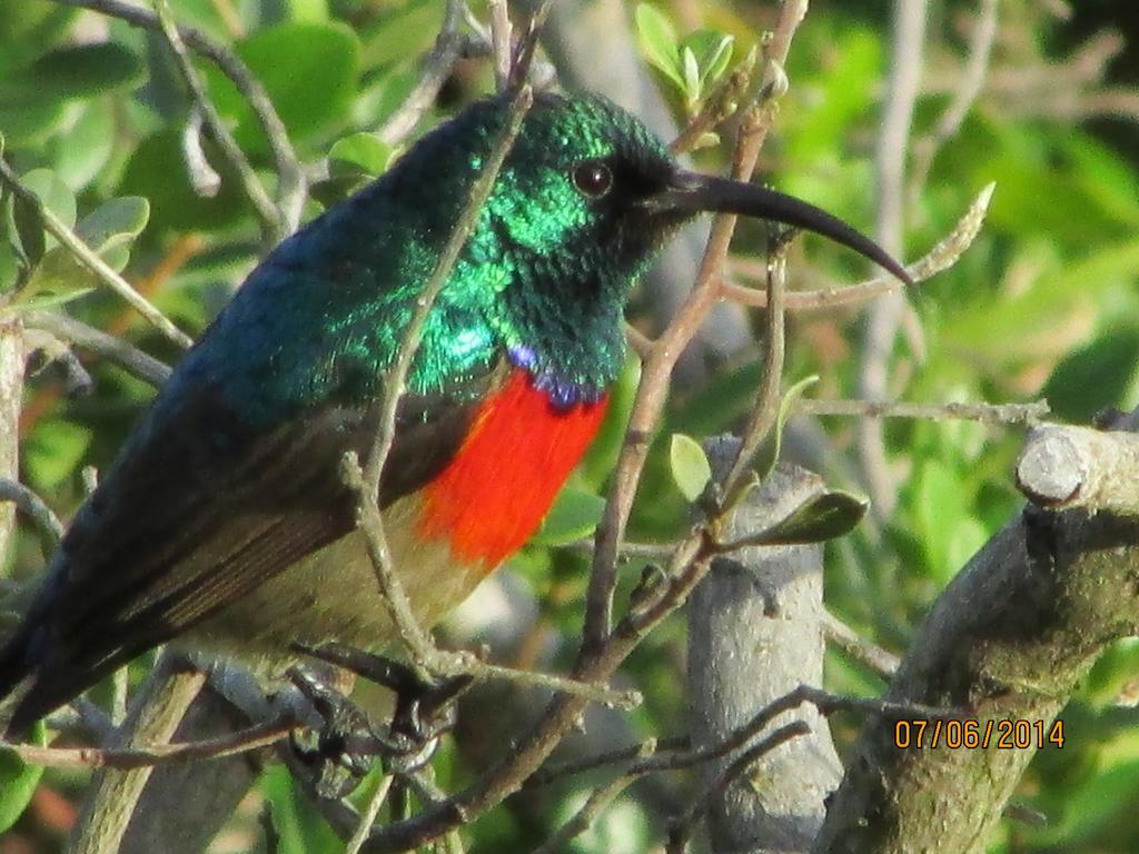 Melkhoutkloof Guest House Outeniqua Strand エクステリア 写真