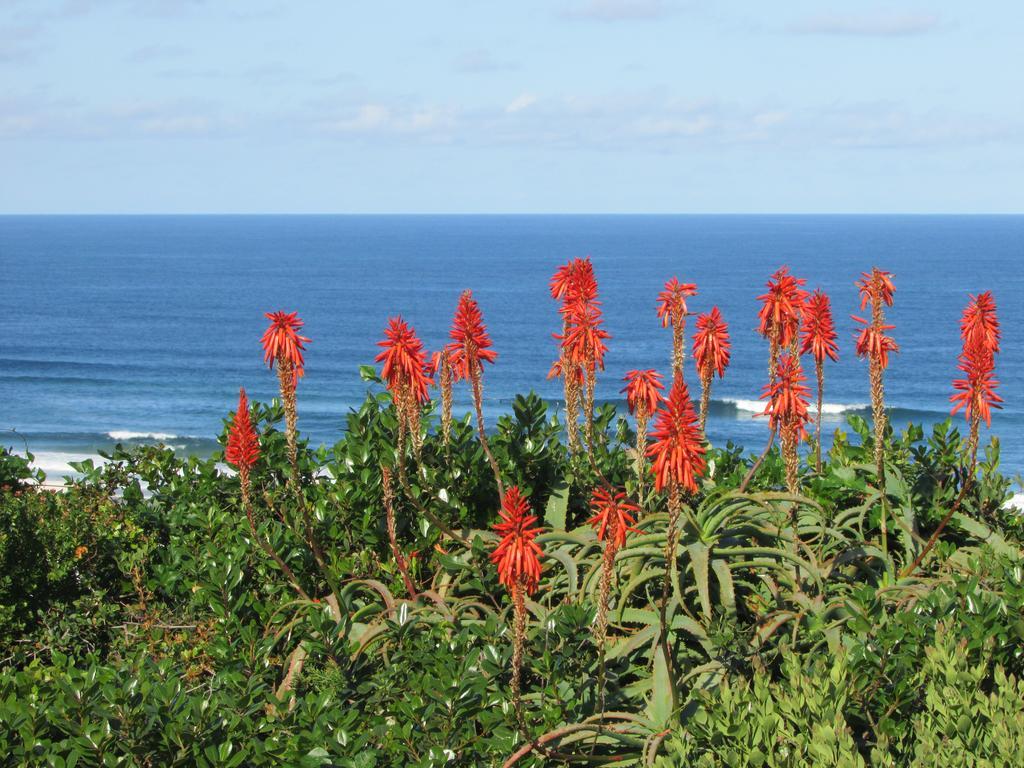 Melkhoutkloof Guest House Outeniqua Strand エクステリア 写真